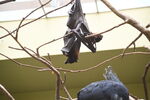 DSC_9129.JPG